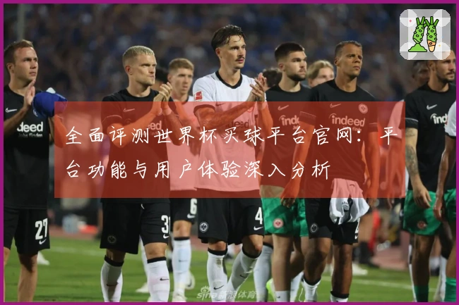 全面评测世界杯买球平台官网：平台功能与用户体验深入分析