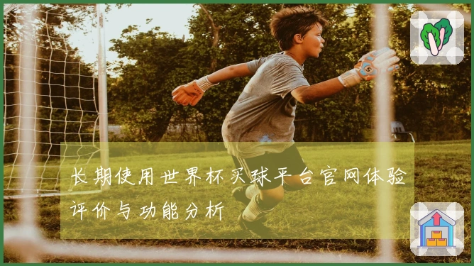 长期使用世界杯买球平台官网体验评价与功能分析