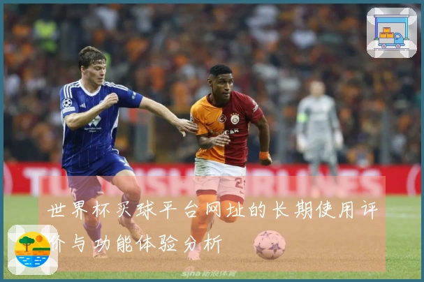 世界杯买球平台网址的长期使用评价与功能体验分析