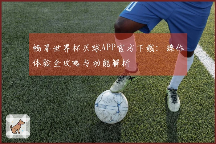 畅享世界杯买球APP官方下载：操作体验全攻略与功能解析