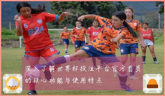 深入了解世界杯投注平台官方首页的核心功能与使用特点