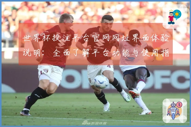 世界杯投注平台官网网址界面体验说明：全面了解平台功能与使用指南