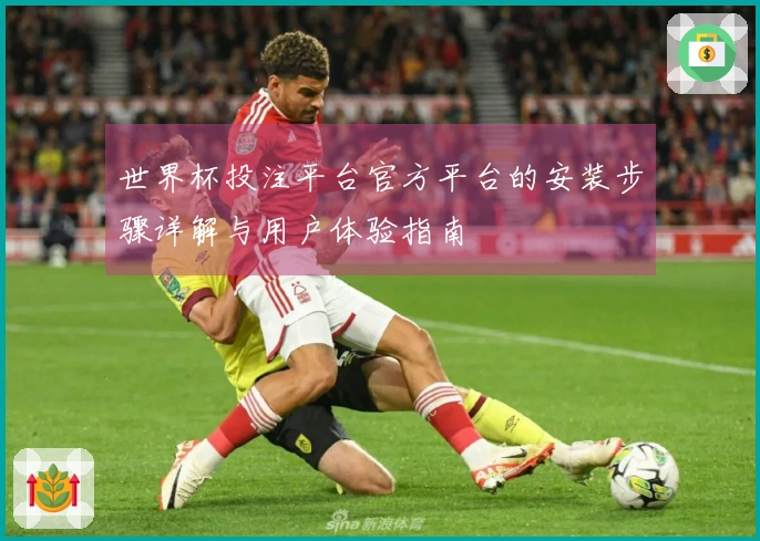 世界杯投注平台官方平台的安装步骤详解与用户体验指南