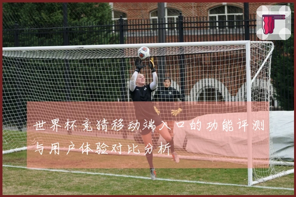 世界杯竞猜移动端入口的功能评测与用户体验对比分析