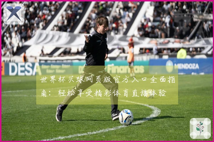 世界杯买球网页版官方入口全面指南：轻松享受精彩体育直播体验