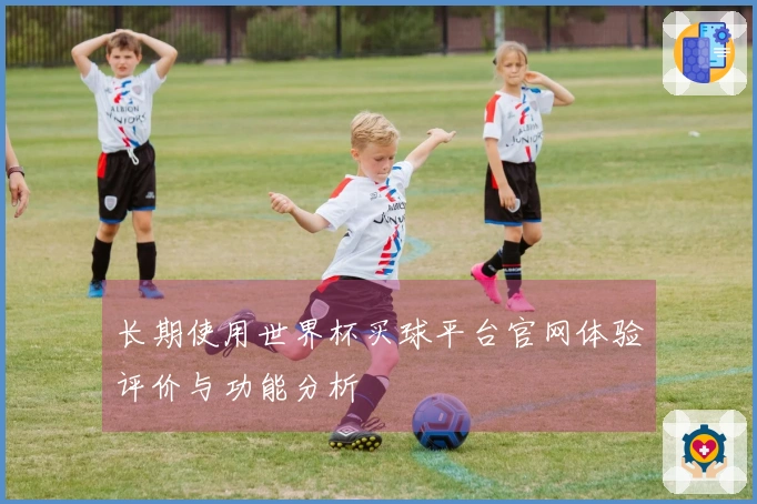 长期使用世界杯买球平台官网体验评价与功能分析